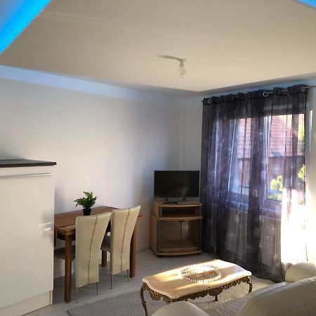 Appartement Willa Chez Willi Niederschaeffolsheim Luaran gambar