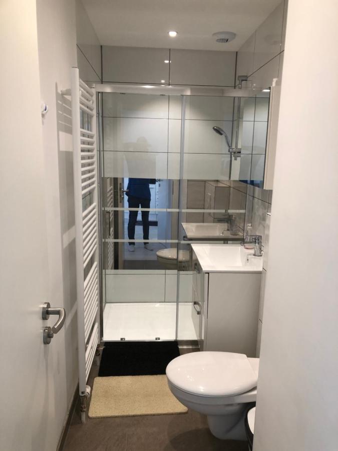 Appartement Willa Chez Willi Niederschaeffolsheim Luaran gambar
