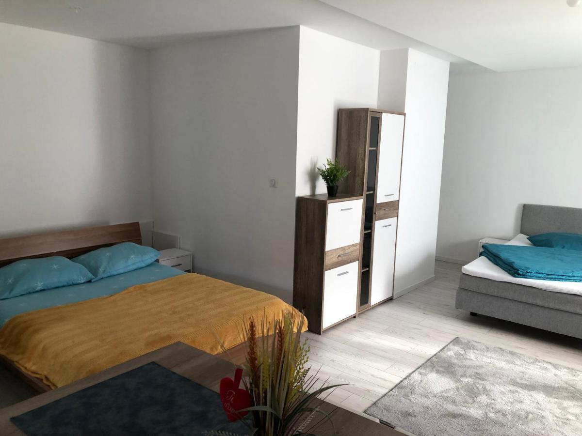 Appartement Willa Chez Willi Niederschaeffolsheim Luaran gambar